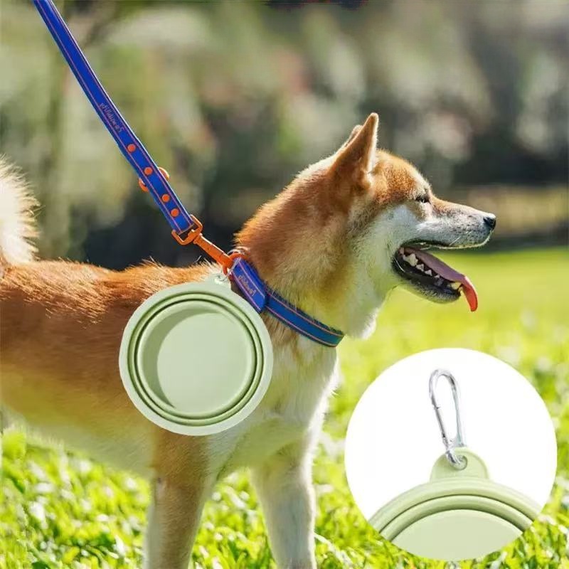 Foldable Pet Bowl, Portable Tr - Baby Food Cat avaliação e preço