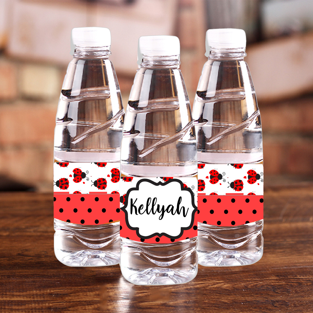 Personalised Ladybug Red Polka - Baby Food Bottle avaliação e preço